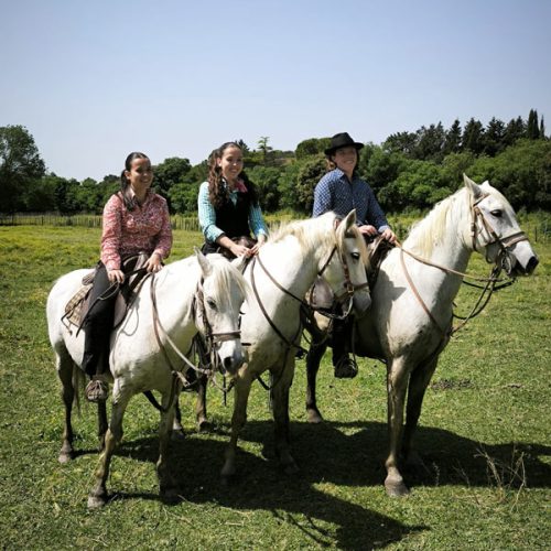 manade-vidourlenque-tradition-camargue-taureaux-domaine-naturel-08