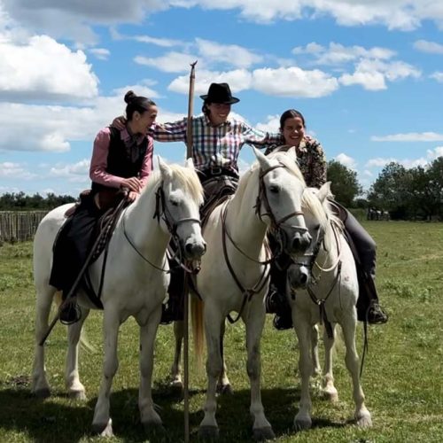 manade-vidourlenque-tradition-camargue-taureaux-domaine-naturel-manade-04