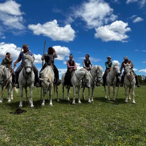 manade-vidourlenque-tradition-camargue-taureaux-domaine-naturel-manade-05